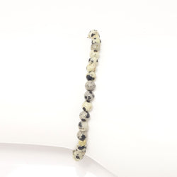 Dalmation/Silver
