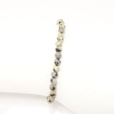 Dalmation/Silver