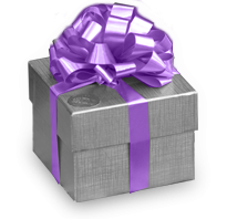 Silver Gift Box